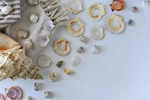 Sea shells and beach mat, summer holiday symbols image. Stock Photos