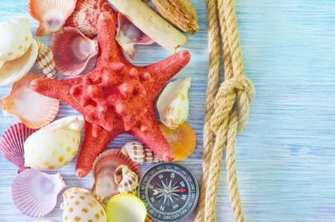 Sea shells and compass Stockfoto's