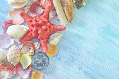 Sea shells and compass Stockfoto's
