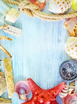 Sea shells and compass 스톡 사진