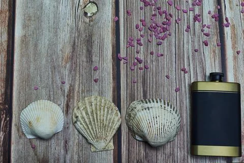 Sea shells and drinking flask on wood Stock Photos