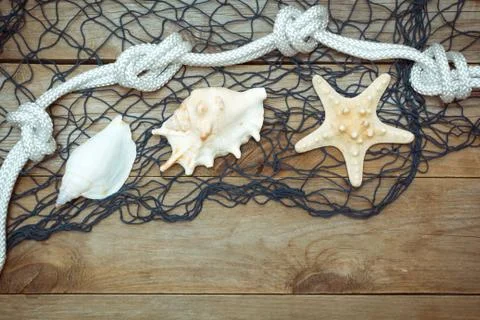 Sea shells and rope on old boards Stock Photos