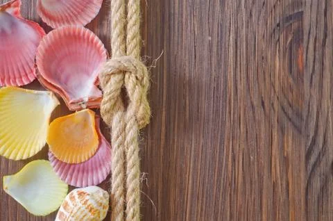 Sea shells and rope Stock Photos