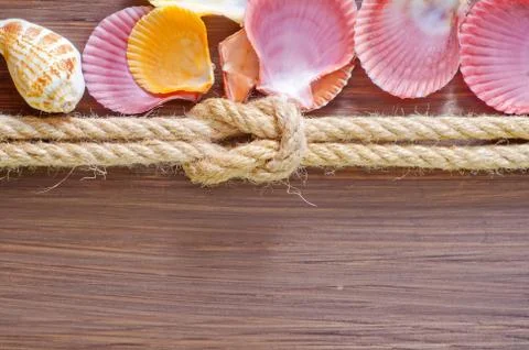 Sea shells and rope Stockfoto's
