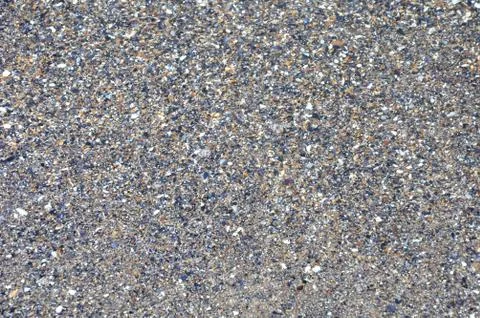 Sea shells and sand background 库存照片