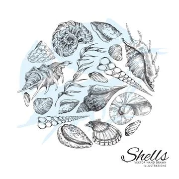 Sea shells and seaweed in circle, monochrome hand drawn sketch style - vector Stock Illustration