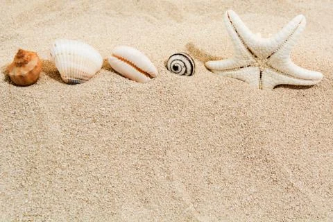 Sea shells and star on beach sand. Copy space. Holiday summer design background 스톡 사진