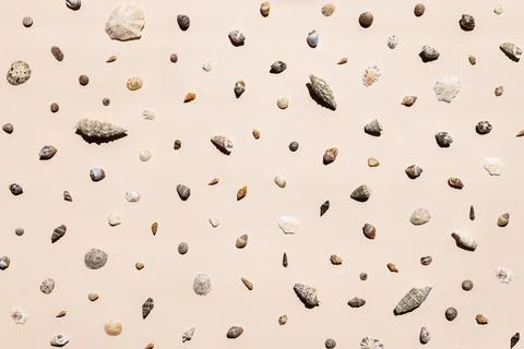 Sea shells background, pattern, holiday relax concept. Stock Photos