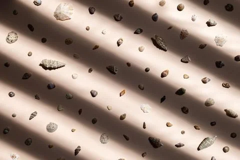 Sea shells background, pattern, holiday relax concept. Stock Photos