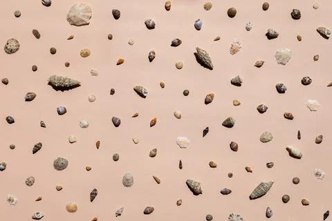 Sea shells background, pattern, holiday relax concept. Foto stock