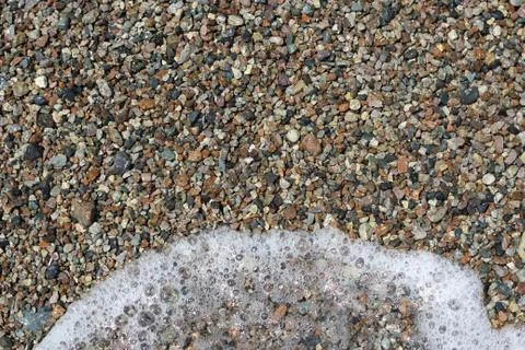 Sea shells background. Stock Photos