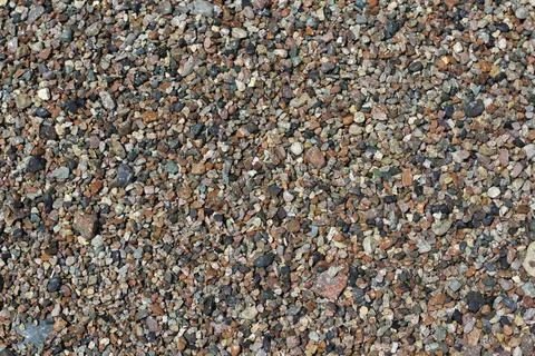 Sea shells background. sea shells background natural background Copyright:... Stockfoto's