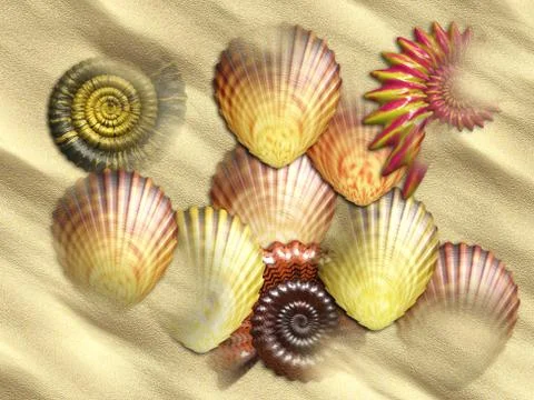 Sea shells at beach Stock Illustration