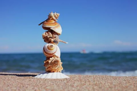 Sea shells on the beach. Sandy beach with waves. Summer vacation concept. Stock Photos