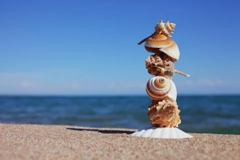 Sea shells on the beach. Sandy beach with waves. Summer vacation concept. Stock Photos