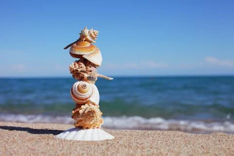 Sea shells on the beach. Sandy beach with waves. Summer vacation concept. Stock Photos