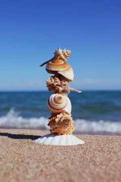Sea shells on the beach. Sandy beach with waves. Summer vacation concept. Stock Photos
