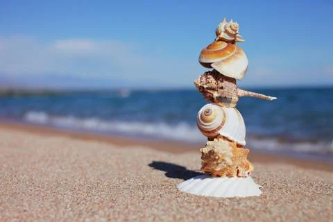 Sea shells on the beach. Sandy beach with waves. Summer vacation concept. Stock Photos