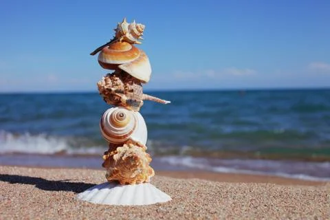 Sea shells on the beach. Sandy beach with waves. Summer vacation concept. Stock Photos