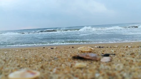 Sea Shells On The Beach. Sea Waves And Shell On The Beach Stock Footage 129087578