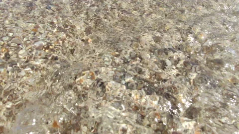 Sea shells on the beach. waves on the beach in summer Stock Footage 134629112