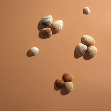 Sea shells on a beige background. Stock Photos