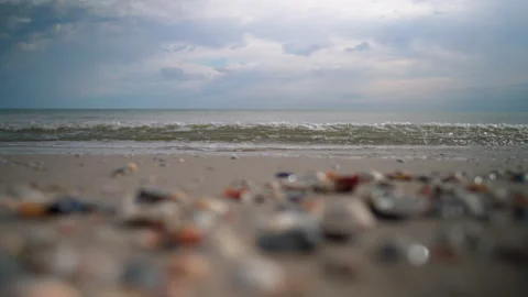 Sea shells blurred background Stock Footage 156813540