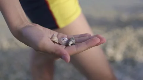 Sea shells in a child's hand. Stock Footage 131735131