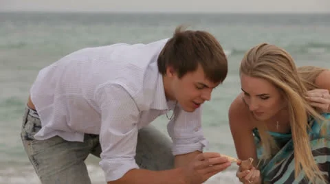 Sea Shells Collection Stock-Footage 26177149