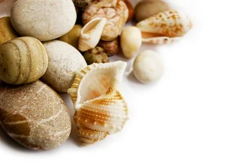 Sea shells collection Stock Photos