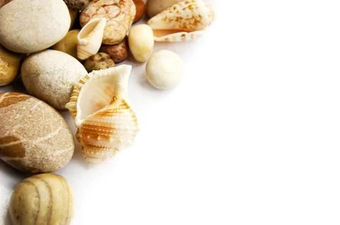 Sea shells collection Stock Photos