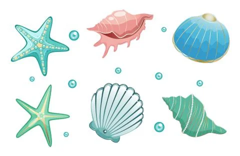 Sea shells collection stock vector illustration. Isolated on white background. Stock Illustration