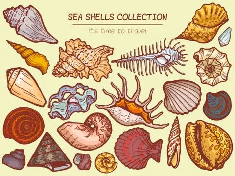 Sea shells collections icon, time to travel advertisement banner cartoon vector Stock Illustration