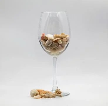 Sea Shells In A Cup Foto stock