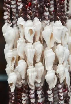 Sea shells decoration Stock Photos