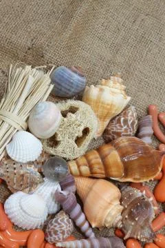 Sea shells decorative background on the bottom of beige sand like textile Foto stock