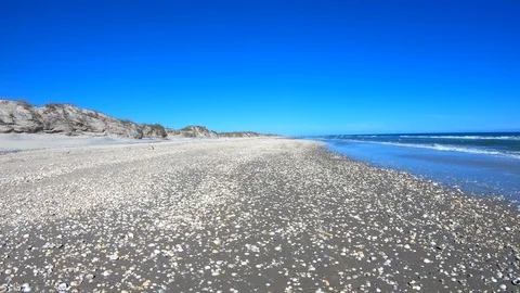 Sea shells on deserted sandy beach Gulf of Mexico Texas drive POV 4K Stock Footage 102520783