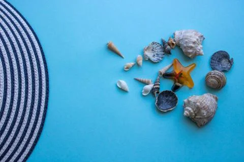 Sea shells edge of the hat on a blue background.The concept of vacation, trav Stock Photos