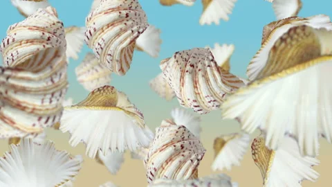 Sea shells falling down. Slow motion. Stock Footage 170480002
