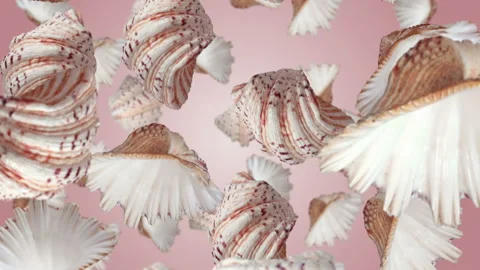 Sea shells falling down. Slow motion. Stock Footage 196627610