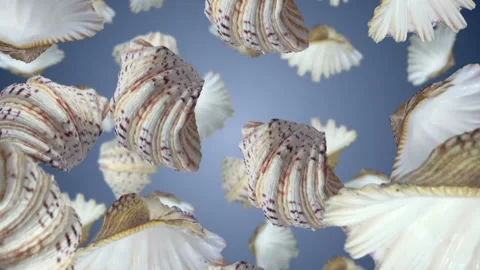 Sea shells falling down. Slow motion. Stock Footage 257759724