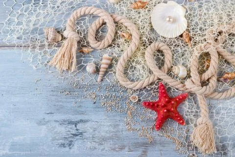 Sea shells in a fishnet Stock Photos