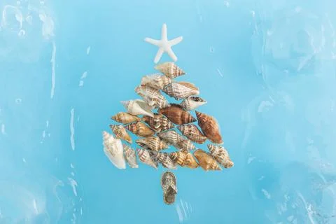 Sea shells in form of Christmas tree in blue water with waves concept Stock Photos