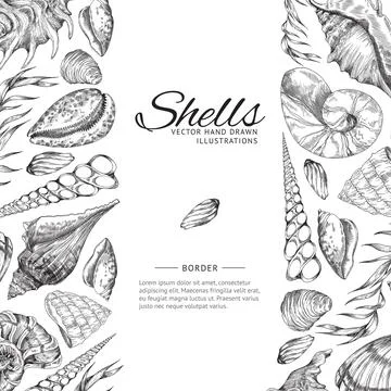 Sea shells frame or border for marine design, hand drawn sketch vector Stock Illustration