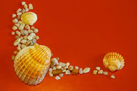 Sea shells with grit as a half frame background Foto stock
