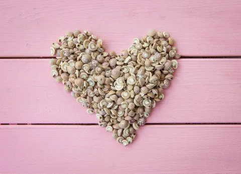 Sea shells in a heart shape Stock Photos