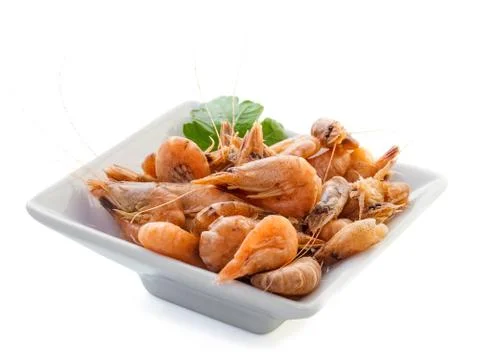 Sea shells with herbs on a white background Stock Photos
