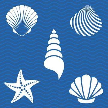 Sea shells Stock Illustration