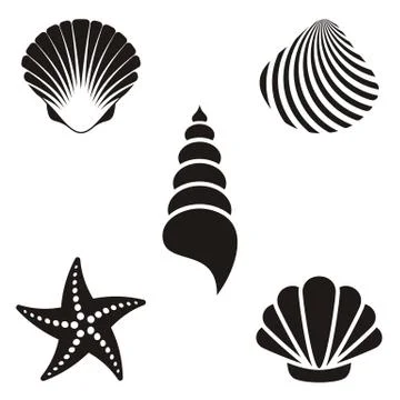 Sea shells Illustrazione stock
