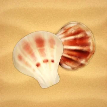 Sea shells Stock Illustration